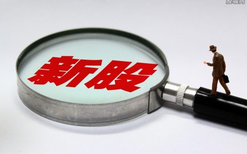 国际期货权重品种